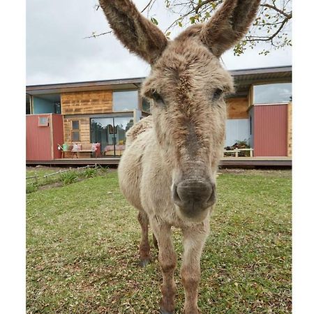 Eco Lodge Villa Villekula The Crags エクステリア 写真
