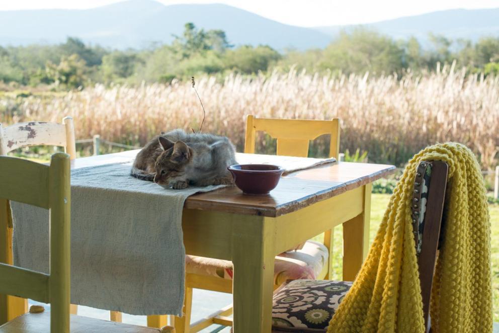 Eco Lodge Villa Villekula The Crags エクステリア 写真