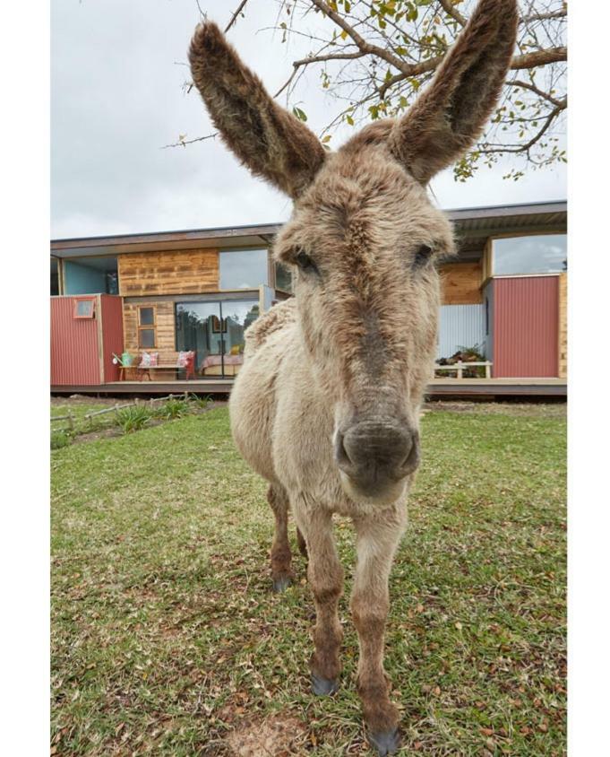 Eco Lodge Villa Villekula The Crags エクステリア 写真