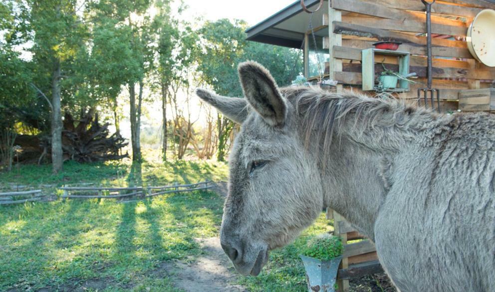 Eco Lodge Villa Villekula The Crags エクステリア 写真